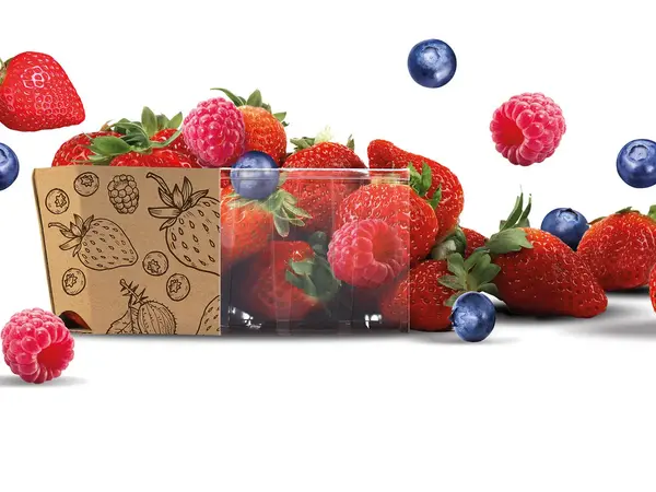 Freistgestellte Obstverpackung mit Erdbeeren, Himbeeren und Blaubeeren